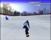 ESPN Winter X-Games Snowboarding (PS2) USED Б/У
