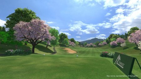  Everybody's Golf (  PS VR) (PS4) Playstation 4