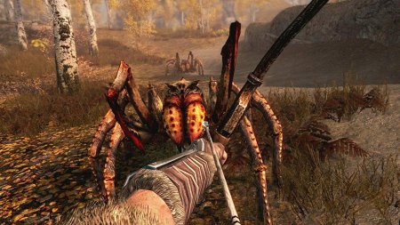 игра The Elder Scrolls 5 (V): Skyrim (Switch) USED Б/У для Nintendo Switch