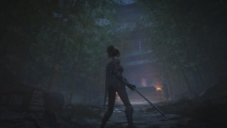 Wuchang: Fallen Feathers Русская Версия (PS5)