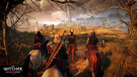 Игра Ведьмак 3: Дикая Охота (The Witcher 3: Wild Hunt) + Dark Souls 3 (III) Русская Версия (PS4) Playstation 4