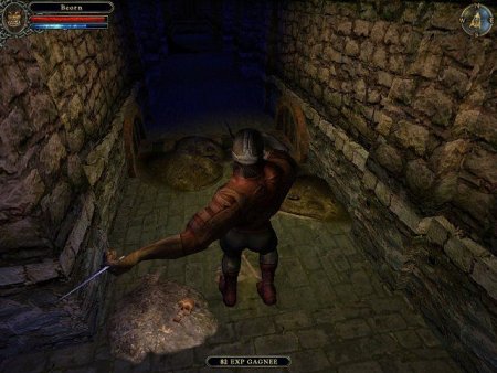 Dungeon Lords Jewel (PC) 