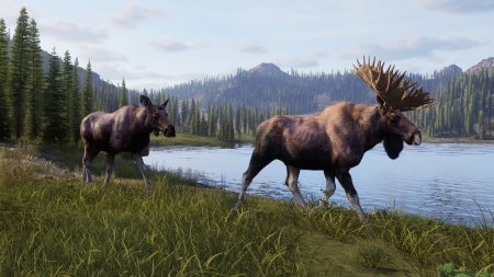 Way of the Hunter 2 Русская Версия (PS5)