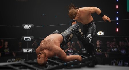 Игра AEW: Fight Forever (PS4/PS5) Playstation 4