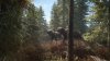 Игра The Hunter: Call of the Wild 2019 Edition Русская Версия (PS4) Playstation 4