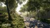 Test Drive Unlimited Solar Crown Русская Версия (PS5)