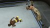 WWE SmackDown vs Raw 2010 (Xbox 360)