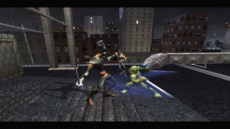 TMNT Teenage Mutant Ninja Turtles ( ):  (PS2)