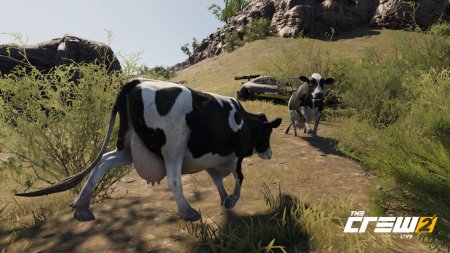 Игра The Crew 2 (PS4) Playstation 4