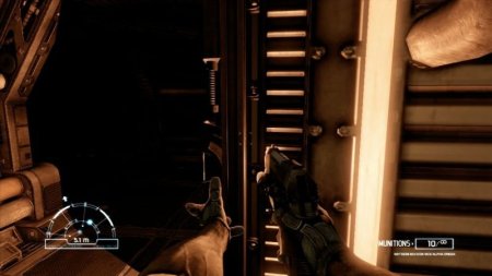 Aliens vs Predator (Чужой против Хищника) (Xbox 360/Xbox One)