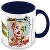 Кружка Pyramid: Хищные Птицы (Birds Of Prey) Харли Квинн Предупреждение (Harley Quinn Warning) Inner Mug (MGC25854) 315 мл