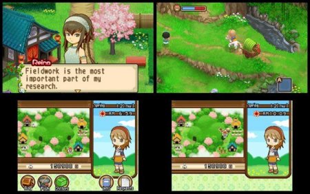   Harvest Moon: The Tale of Two Towns 3D (Nintendo 3DS)  3DS