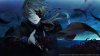 игра Virche Evermore -EpiC: Lycoris- (Switch) для Nintendo Switch