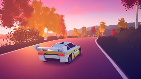 игра Art of Rally Коллекционное издание (Collector's Edition) Русская Версия (Switch) для Nintendo Switch
