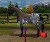 Купить игру Pony Friends 2 (Wii/WiiU) на Nintendo Wii диск