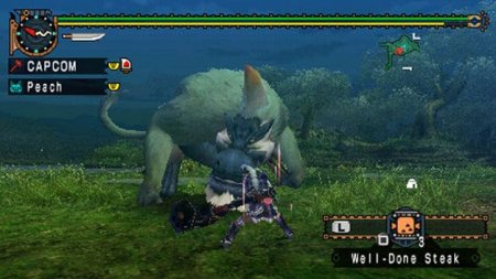Monster Hunter: Frontier G6 (PS Vita)