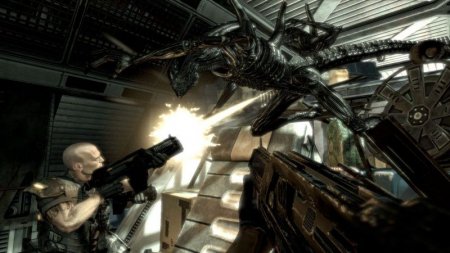 Aliens vs Predator (  )   (Xbox 360/Xbox One) USED /