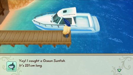 Игра Story of Seasons: Friends of Mineral Town (PS4) Playstation 4