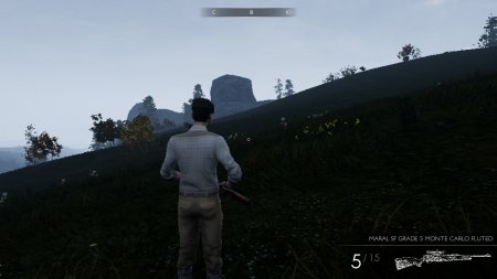 Hunting Simulator Русская Версия Box (PC) 