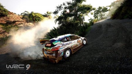 WRC 9: FIA World Rally Championship (PS5)