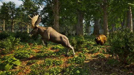 Park Ranger Simulator (PS5)