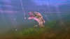 Rapala Fishing для Kinect (Xbox 360)