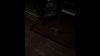 Игра Paranormal Activity: The Lost Soul (с поддержкой PS VR) (PS4) Playstation 4