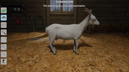 My Life: Farm Vet Русская Версия (PS5)