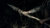 Игра Hunt: Showdown (PS4) Playstation 4