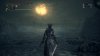 Игра Bloodborne: Порождение крови Коллекционное Издание Русская Версия (PS4) Playstation 4
