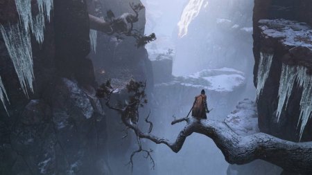 Игра Sekiro: Shadows Die Twice (PS4) Playstation 4