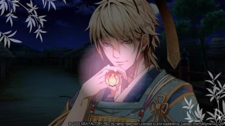 игра Birushana: Rising Flower of Genpei (Switch) для Nintendo Switch