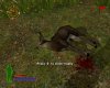 Cabela's Trophy Bucks (Xbox 360)
