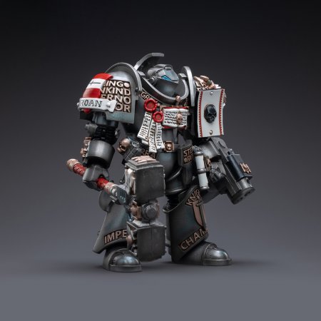  JoyToy:    1:18 (Terminator Caddon Vibova 1:18)  40K   (Warhammer 40K Grey Knights) (JT3228) 13,4   