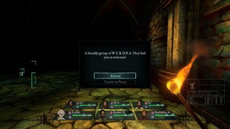 игра Wizardry: Proving Grounds of the Mad Overlord (Switch) для Nintendo Switch