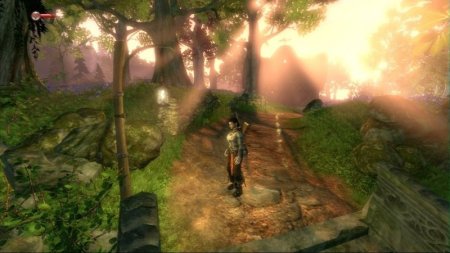 Fable 2 (II) (Classics) Русская Версия (Xbox 360/Xbox One)