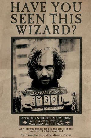   Maxi Pyramid:   (Harry Potter)    (Wanted Sirius Black) (PP33681) 91,5 