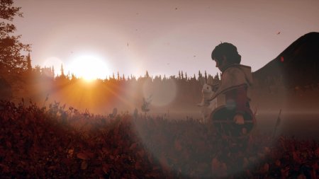 Игра Skabma Snowfall Русская Версия (PS4/PS5) Playstation 4