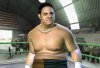 TNA iMPACT! (PS2) USED Б/У