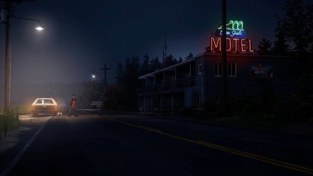 Игра Life is Strange 2 Коллекционное издание (Collector’s Edition) Русская Версия (PS4) Playstation 4