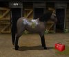 Купить игру Pony Friends 2 (Wii/WiiU) на Nintendo Wii диск