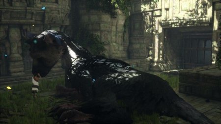  The Last Guardian.     (PS4) USED / Playstation 4
