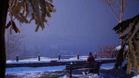 Life is Strange: Double Exposure   (PS5)