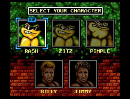      (Battletoads and Double Dragon) (MDP)
