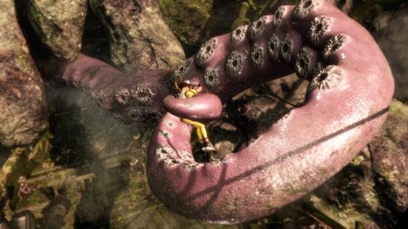 Игра Dead or Alive 6 (VI) Русская Версия (PS4) Playstation 4