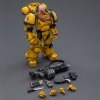  JoyToy:    1:18 (Intercessors Rogfried Pertanal 1:18)  40K   (Warhammer 40K Imperial Fists) (JT3440) 13   