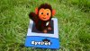  EyePet Русская Версия (PSP) 