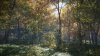Игра The Hunter: Call of the Wild 2019 Edition Русская Версия (PS4) Playstation 4