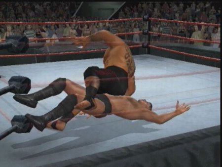 WWE SmackDown vs Raw 2009 (PS2)