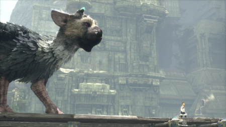  The Last Guardian.  . Special Edition   (PS4) Playstation 4